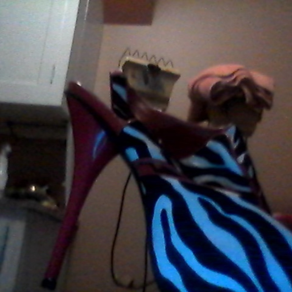 zebra heels